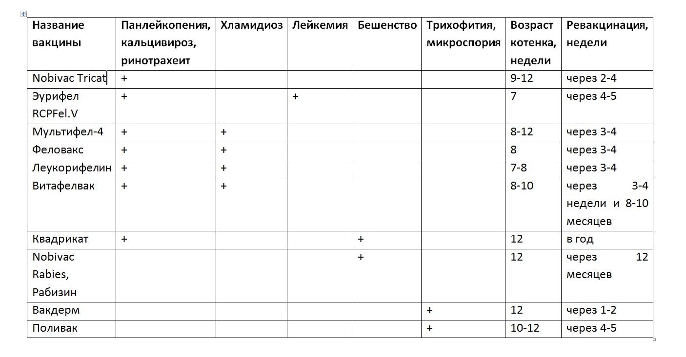 График вакцинации британских котят