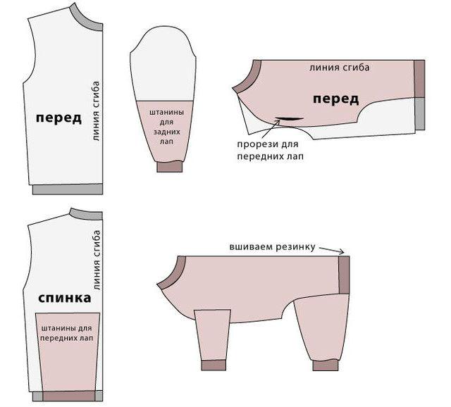 Выкройка пальто для лабрадора